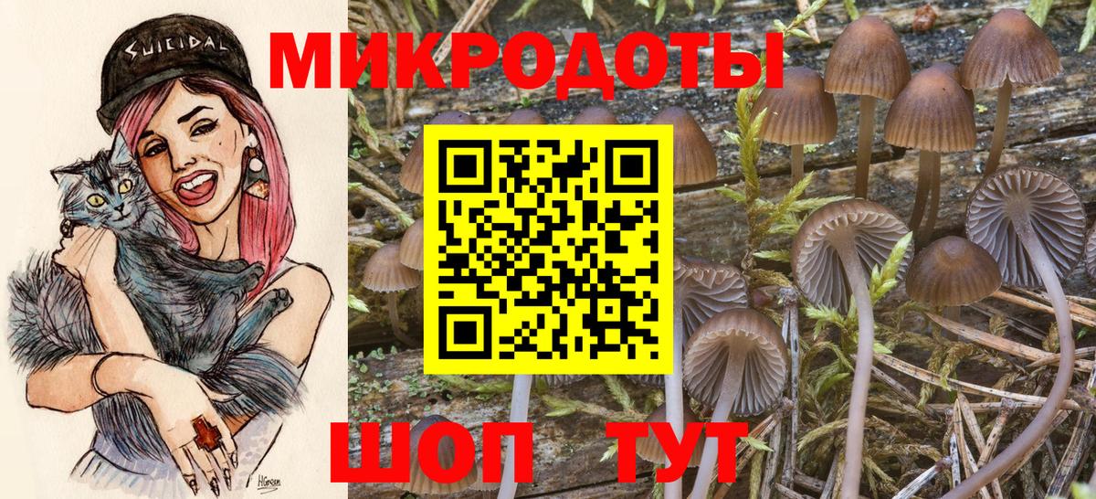 Сатка  Галлюциногенные грибы Magic Shrooms  Псилоцибиновые грибы Psilocybe  Вход с VPN 